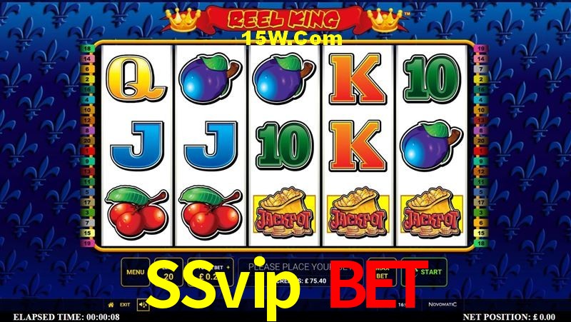 Sports Statistics SSvip Bet